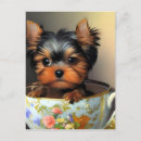 Pesquisar por yorkies cartoes postais Cachorros