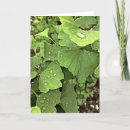 Pesquisar por fathers day cartoes Qualquer pessoa