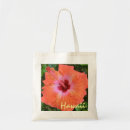 Pesquisar por hibiscus sacos Hawaii