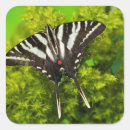 Pesquisar por borboleta zebra adesivos Flor