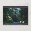 Pesquisar por forest cartoes postais Viagem