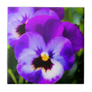 Pesquisar por amor perfeito azulejos Pansies