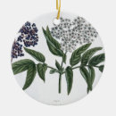 Pesquisar por idoso ornamentos Belas artes