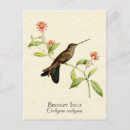 Pesquisar por incas cartoes postais Vintage