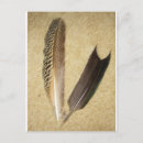 Pesquisar por feather cartoes postais Natureza