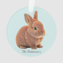 Pesquisar por coelho ornamentos Fofo