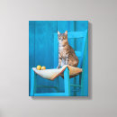Pesquisar por gatos bonitos impressão de canvas Engraçado
