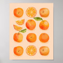Pesquisar por dos citrinos artes pôsteres Fruta