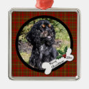 Pesquisar por cocker spaniel ornamentos Spaniels de cocker