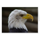 Pesquisar por símbolo americano cartoes Águia careca