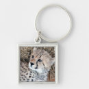 Pesquisar por chita chaveiros Leopardo