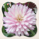 Pesquisar por flor roxa porta copos Natureza