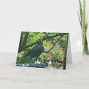 Pesquisar por corvo engraçado cartoes Pássaros