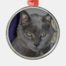 Pesquisar por russo ornamentos Azul