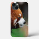 Pesquisar por gato samsung capas Animal