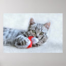 Pesquisar por gato papai noel pôsteres Animal