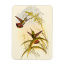 Pesquisar por pintura da flor imas Ramificação