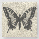 Pesquisar por borboleta branca porta copos Inseto