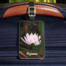 Pesquisar por flor lótus bagagem tags Natureza