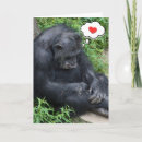 Pesquisar por macaco pensamento Chimpanzé