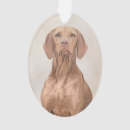 Pesquisar por vizsla ornamentos Vizinha