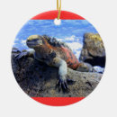 Pesquisar por galápagos ornamentos Viagem