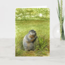 Pesquisar por phil cartoes Groundhog