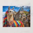 Pesquisar por machu picchu cartoes postais Lama