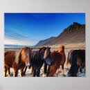 Pesquisar por islandia pôsteres Pintura