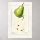 Pesquisar por pintura floral pôsteres Verde