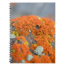 Pesquisar por musgo cadernos de notas Pedra