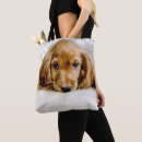 Pesquisar por de cocker spaniel bolsas Filhote de cachorro