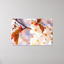 Pesquisar por do sakura de impressão de canvas For her