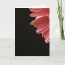 Pesquisar por gerbera cartoes Flower