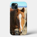 Pesquisar por de telefone do cavalo capas Cavalos