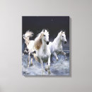 Pesquisar por cavalo branco impressão de canvas Animais
