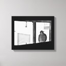 Pesquisar por pomba preto artes pôsteres Pássaro
