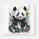 Pesquisar por floresta de bambu imas Panda