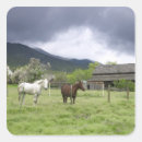 Pesquisar por agricultura adesivos Cavalo
