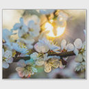 Pesquisar por japonês papel de presente Primavera