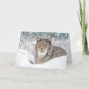 Pesquisar por lince cartoes Animais