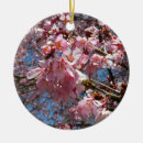 Pesquisar por flor de cerejeira ornamentos Floral