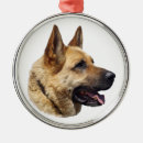 Pesquisar por cão de guarda animais estimação acessórios Qualquer pessoa