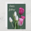 Pesquisar por tulipa cor de rosa e branca Mother