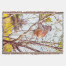 Pesquisar por primate mantas Animal