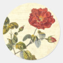 Pesquisar por rosas vermelhas do vintage adesivos Antiquado