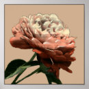 Pesquisar por cinza e rosa pósteres pôsteres Botânico