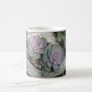 Pesquisar por echeveria canecas Suculento