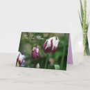 Pesquisar por tulipa roxa cartoes Fotografia