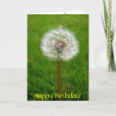Pesquisar por puff cartoes Dandelion